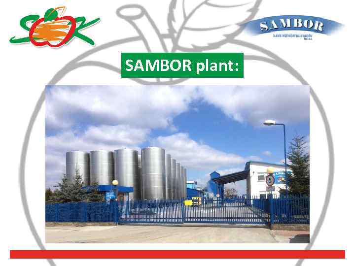 SAMBOR plant: 