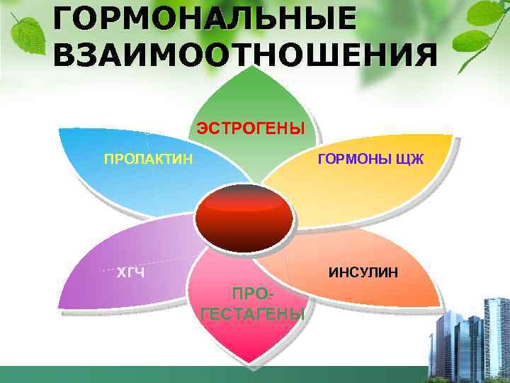 ГОРМОНАЛЬНЫЕ ВЗАИМООТНОШЕНИЯ ЭСТРОГЕНЫ ПРОЛАКТИН ГОРМОНЫ ЩЖ ХГЧ ИНСУЛИН ПРОГЕСТАГЕНЫ 