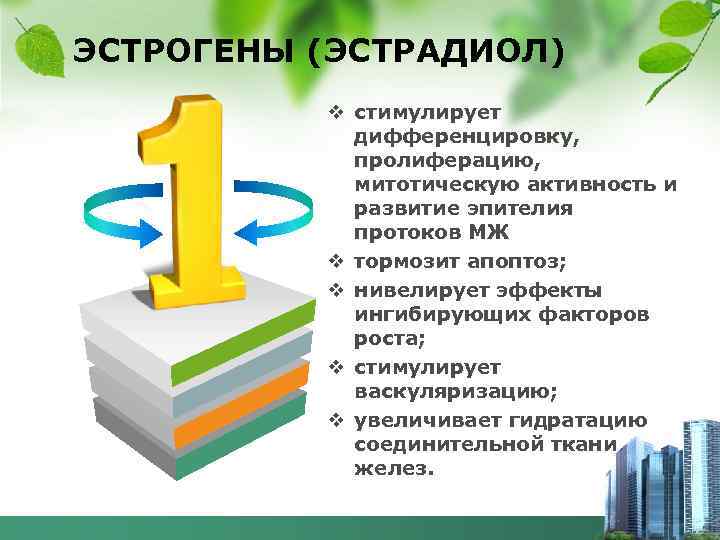 ЭСТРОГЕНЫ (ЭСТРАДИОЛ) v стимулирует дифференцировку, пролиферацию, митотическую активность и развитие эпителия протоков МЖ v