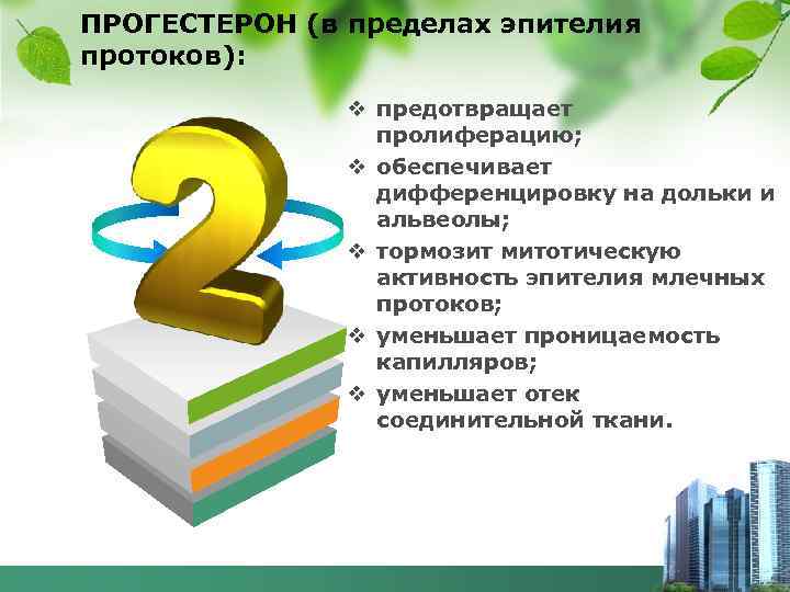 ПРОГЕСТЕРОН (в пределах эпителия протоков): v предотвращает пролиферацию; v обеспечивает дифференцировку на дольки и