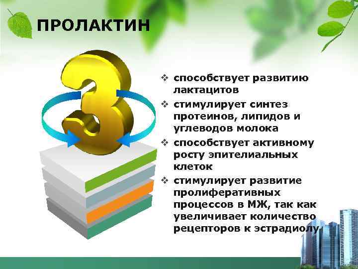 ПРОЛАКТИН v способствует развитию лактацитов v стимулирует синтез протеинов, липидов и углеводов молока v