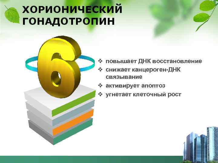 ХОРИОНИЧЕСКИЙ ГОНАДОТРОПИН v повышает ДНК восстановление v снижает канцероген-ДНК связывание v активирует апоптоз v