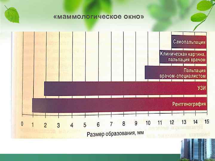  «маммологическое окно» 