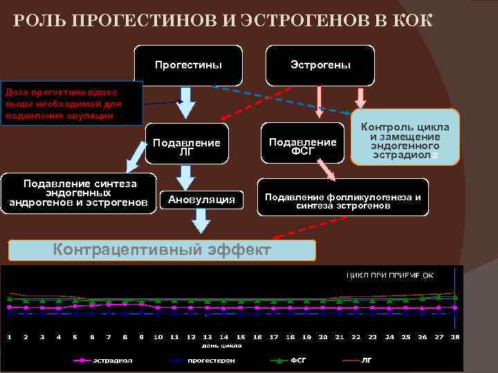 РОЛЬ ПРОГЕСТИНОВ И ЭСТРОГЕНОВ В КОК Прогестины Эстрогены Доза прогестина вдвое выше необходимой для