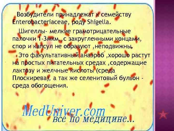 Возбудители принадлежат к семейству Enterobacteriaceae, роду Shigella. Шигеллы- мелкие грамотрицательные палочки 1 -3 мкм.