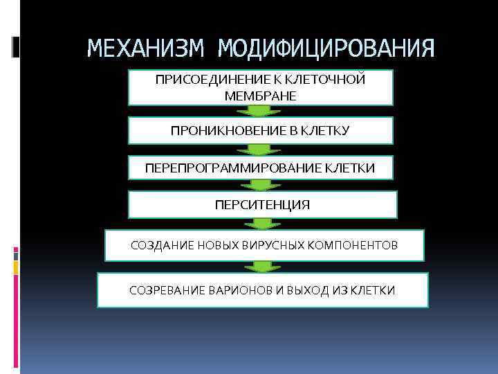 МЕХАНИЗМ МОДИФИЦИРОВАНИЯ ПРИСОЕДИНЕНИЕ К КЛЕТОЧНОЙ МЕМБРАНЕ ПРОНИКНОВЕНИЕ В КЛЕТКУ ПЕРЕПРОГРАММИРОВАНИЕ КЛЕТКИ ПЕРСИТЕНЦИЯ СОЗДАНИЕ НОВЫХ