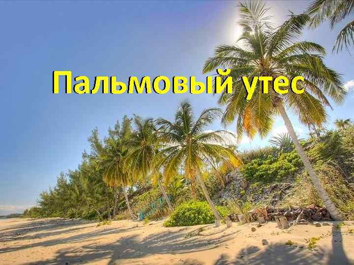 Пальмовый утес 
