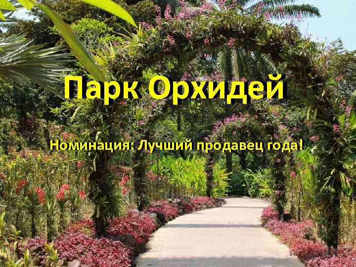 Парк Орхидей Номинация: Лучший продавец года! 