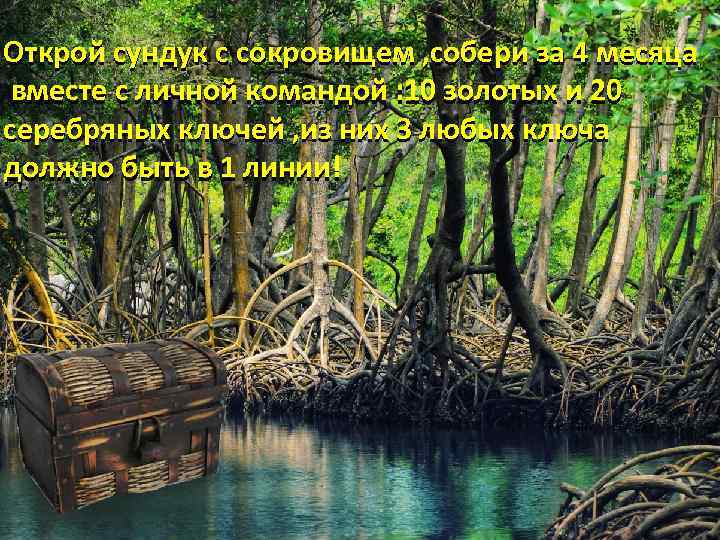 Открой сундук с сокровищем , собери за 4 месяца вместе с личной командой :
