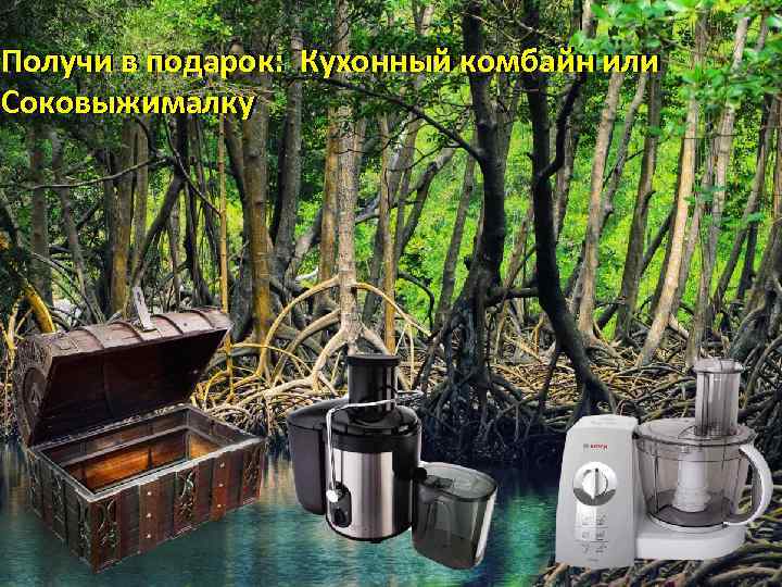Получи в подарок: Кухонный комбайн или Соковыжималку 