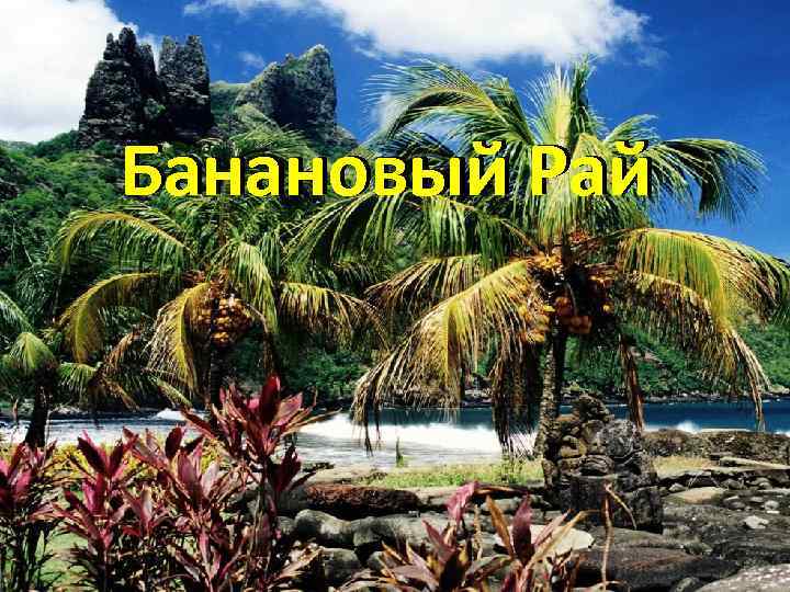 Банановый Рай 