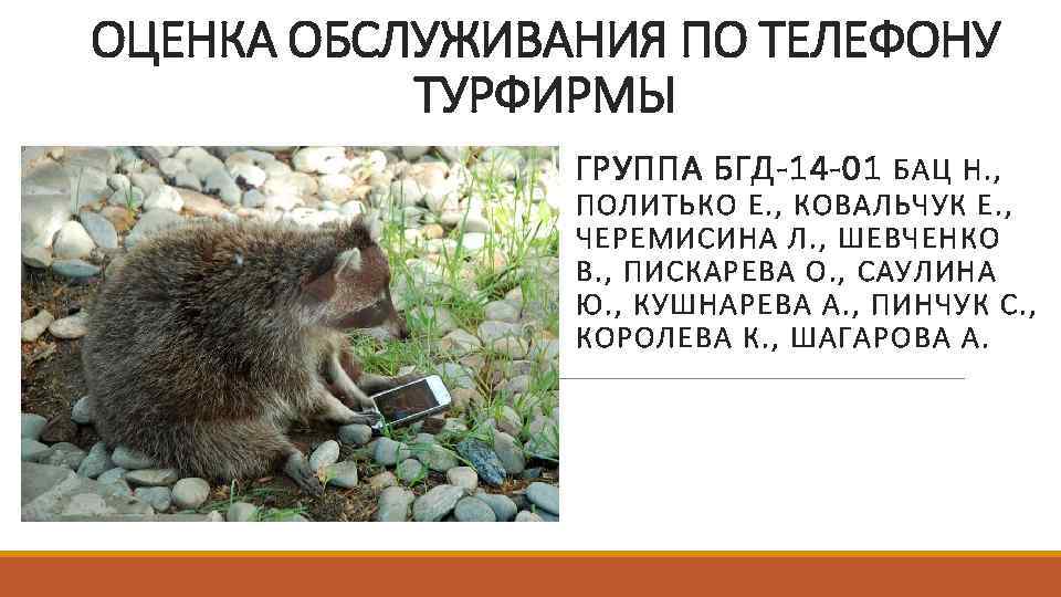 ОЦЕНКА ОБСЛУЖИВАНИЯ ПО ТЕЛЕФОНУ ТУРФИРМЫ ГРУППА БГД-14 -01 БАЦ Н. , ПОЛИТЬКО Е. ,
