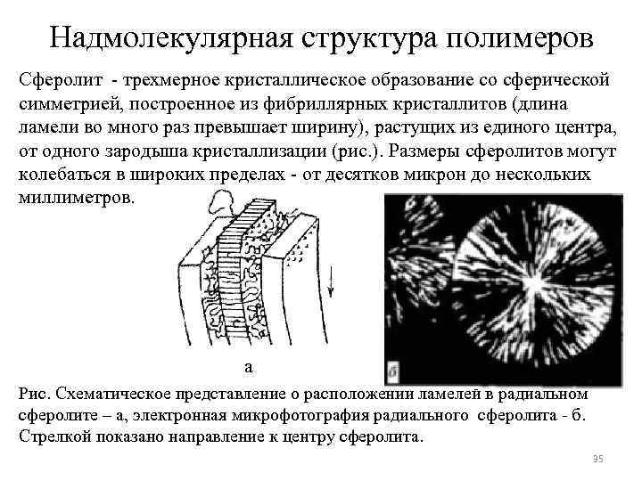 Надмолекулярная структура полимеров Сферолит - трехмерное кристаллическое образование со сферической симметрией, построенное из фибриллярных