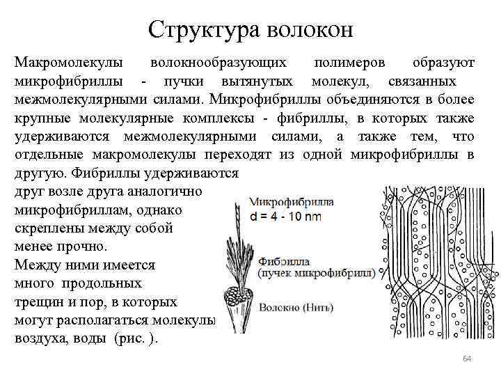 Структура волокон Макромолекулы волокнообразующих полимеров образуют микрофибриллы - пучки вытянутых молекул, связанных межмолекулярными силами.