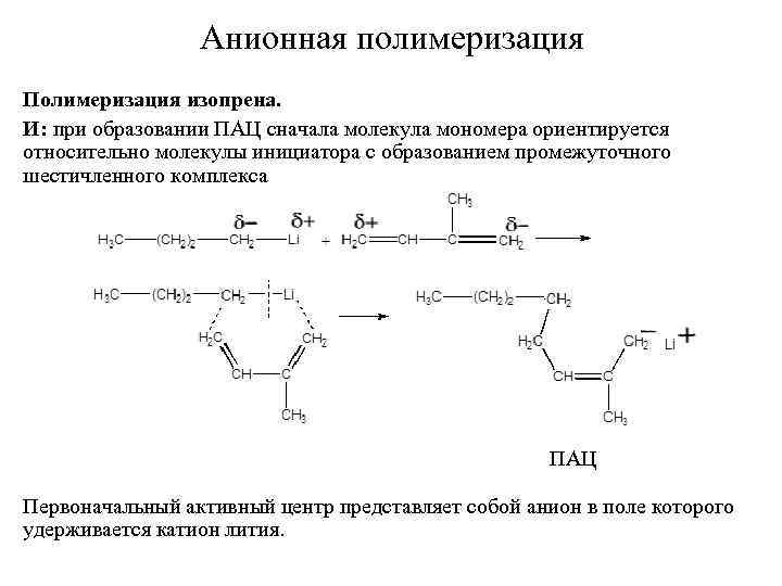 На рисунке изображены результаты опыта иллюстрирующего у растений синтез полимеров из мономеров