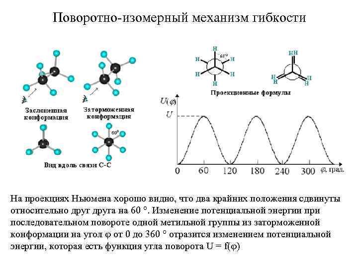 Поворотно-изомерный механизм гибкости На проекциях Ньюмена хорошо видно, что два крайних положения сдвинуты относительно