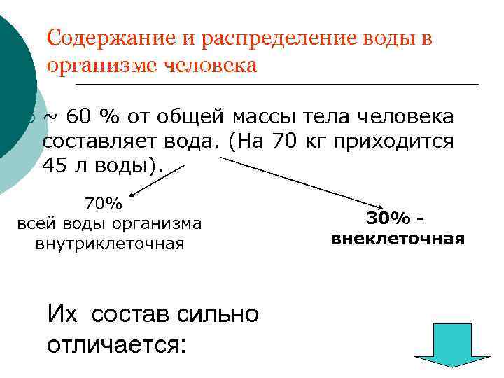 Значение водных растворов