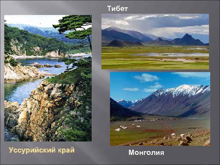 Тибет Уссурийский край Монголия 