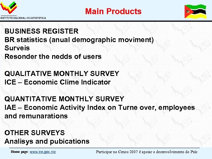 Main Products INSTITUTO NACIONAL DE ESTATÍSTICA BUSINESS REGISTER BR statistics (anual demographic moviment) Surveis