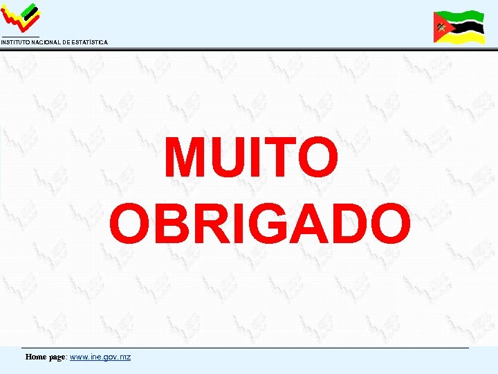 INSTITUTO NACIONAL DE ESTATÍSTICA MUITO OBRIGADO Home page: www. ine. gov. mz 