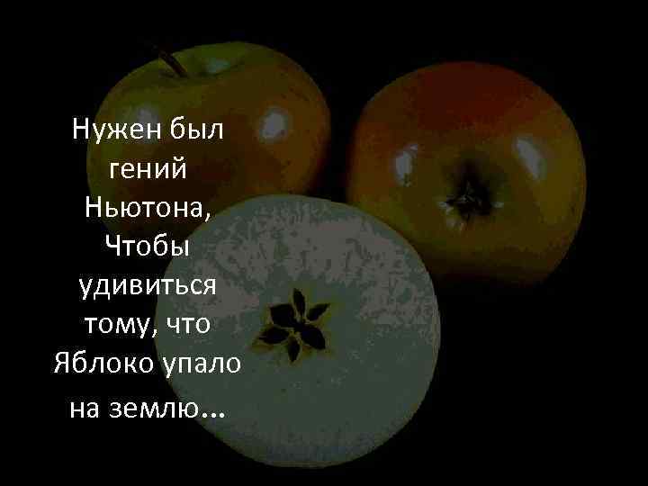 Нужен был гений Ньютона, Чтобы удивиться тому, что Яблоко упало на землю… 