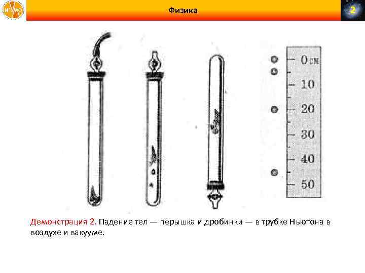 Физика Демонстрация 2. Падение тел — перышка и дробинки — в трубке Ньютона в
