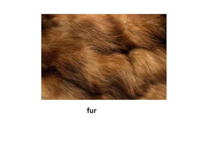 fur 