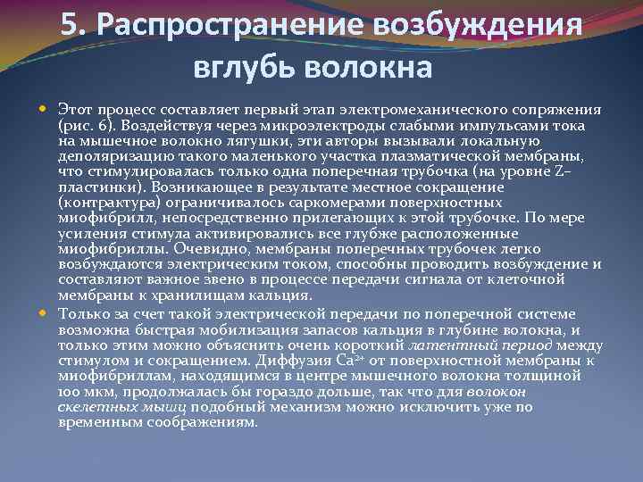 5. Распространение возбуждения вглубь волокна Этот процесс составляет первый этап электромеханического сопряжения (рис. 6).