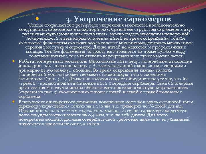  3. Укорочение саркомеров Мышца сокращается в результате укорочения множества последовательно соединенных саркомеров в