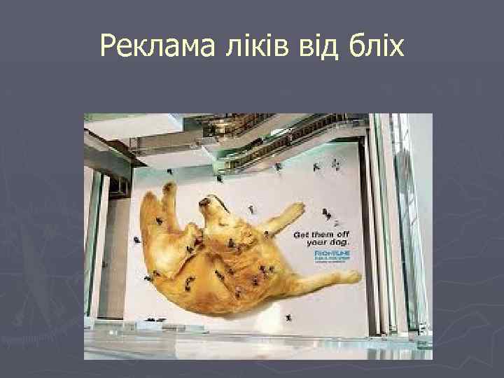 Реклама ліків від бліх 