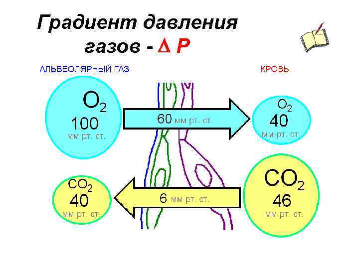 Градиент давления газов - D Р 