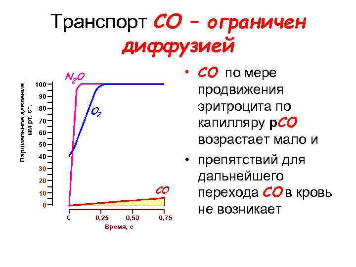 Транспорт CO – ограничен диффузией • СО по мере продвижения эритроцита по капилляру р.