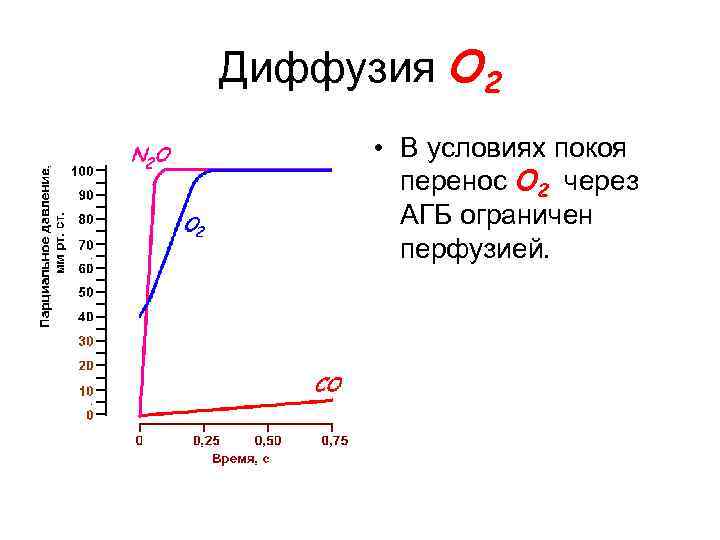 Диффузия O 2 • В условиях покоя перенос O 2 через АГБ ограничен перфузией.