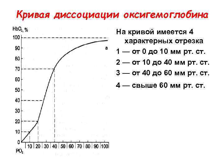 Кривая диссоциации оксигемоглобина На кривой имеется 4 характерных отрезка 1 — от 0 до