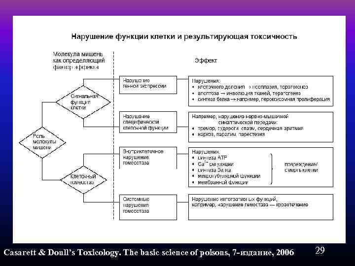 Casarett & Doull’s Toxicology. The basic science of poisons, 7 -издание, 2006 29 