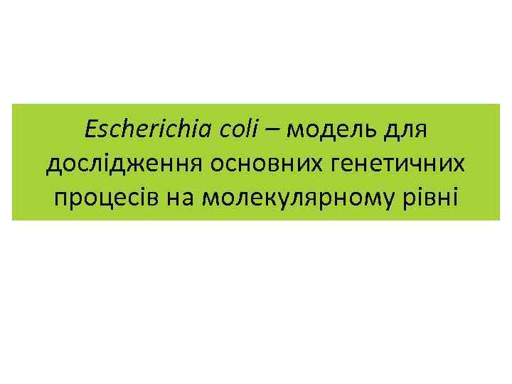 Escherichia coli – модель для дослідження основних генетичних процесів на молекулярному рівні 