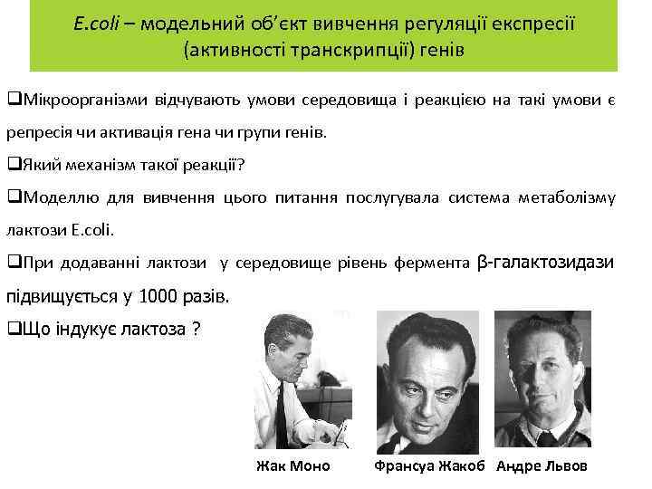 E. coli – модельний об’єкт вивчення регуляції експресії (активності транскрипції) генів q. Мікроорганізми відчувають