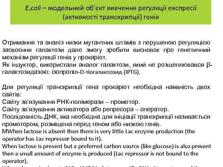 E. coli – модельний об’єкт вивчення регуляції експресії (активності транскрипції) генів Отримання та аналіз