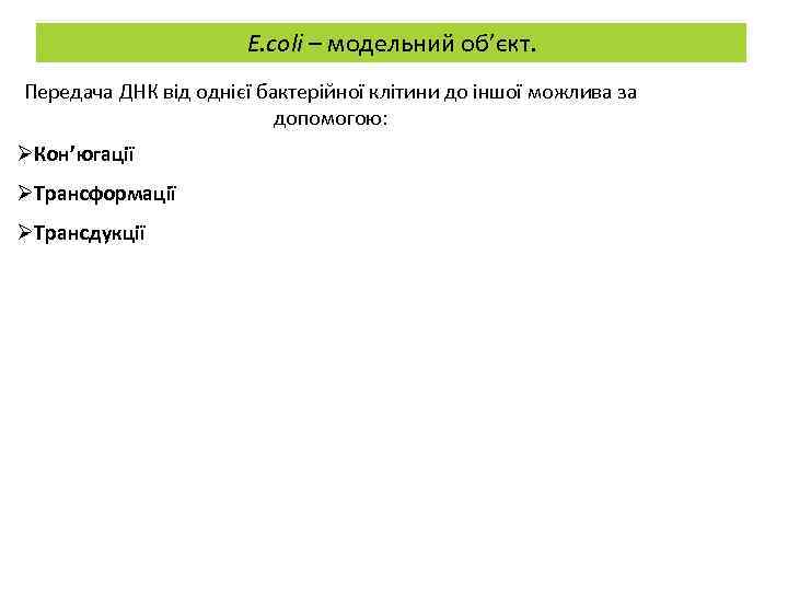 E. coli – модельний об’єкт. Передача ДНК від однієї бактерійної клітини до іншої можлива