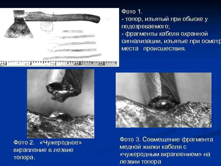 Фото 1. - топор, изъятый при обыске у подозреваемого; - фрагменты кабеля охранной сигнализации,