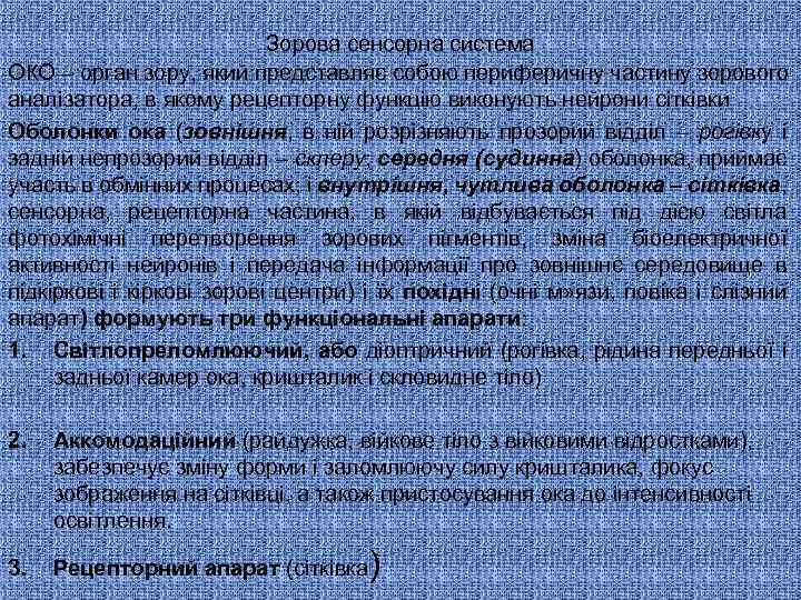 Зорова сенсорна система ОКО – орган зору, який представляє собою периферичну частину зорового аналізатора,