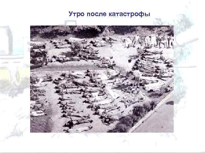 Утро после катастрофы 