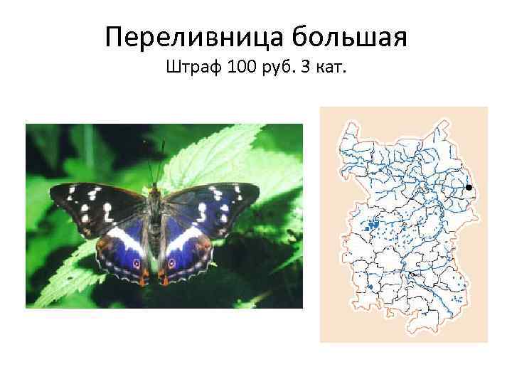Переливница большая Штраф 100 руб. 3 кат. 