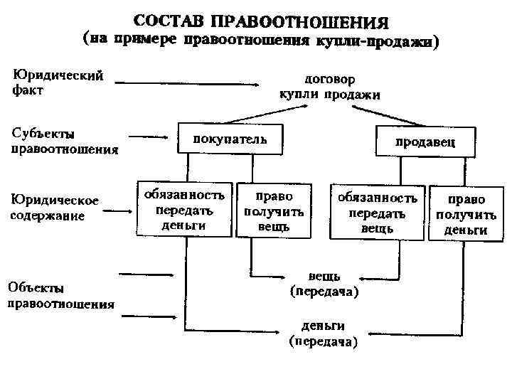 Образование понятие виды функции