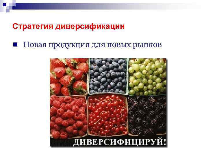 Стратегия диверсификации n Новая продукция для новых рынков 