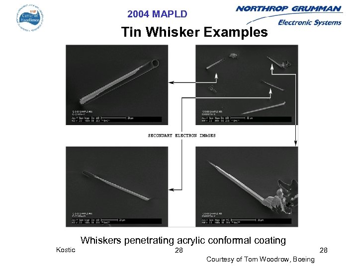 2004 MAPLD Tin Whisker Examples Whiskers penetrating acrylic conformal coating Kostic 28 28 Courtesy