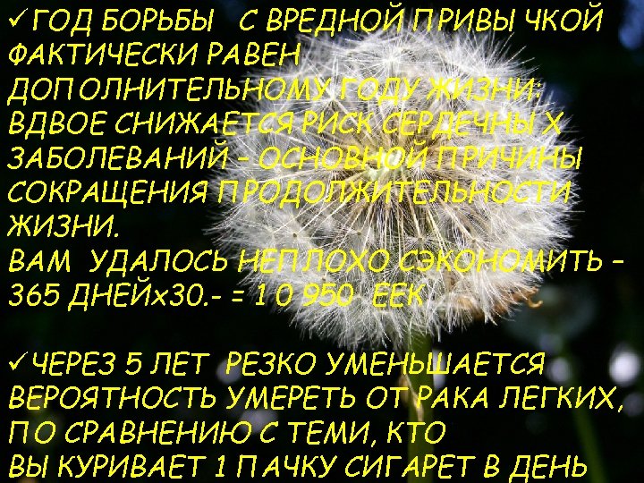 üГОД БОРЬБЫ С ВРЕДНОЙ ПРИВЫЧКОЙ ФАКТИЧЕСКИ РАВЕН ДОПОЛНИТЕЛЬНОМУ ГОДУ ЖИЗНИ: ВДВОЕ СНИЖАЕТСЯ РИСК СЕРДЕЧНЫХ
