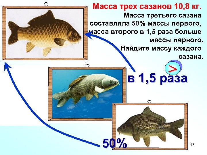 Масса трех сазанов 10, 8 кг. Масса третьего сазана составляла 50% массы первого, масса