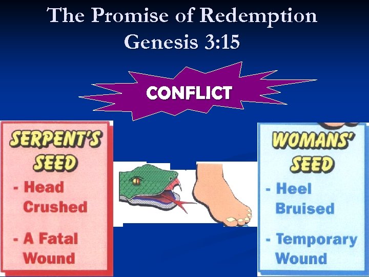 The Promise of Redemption Genesis 3: 15 CONFLICT 