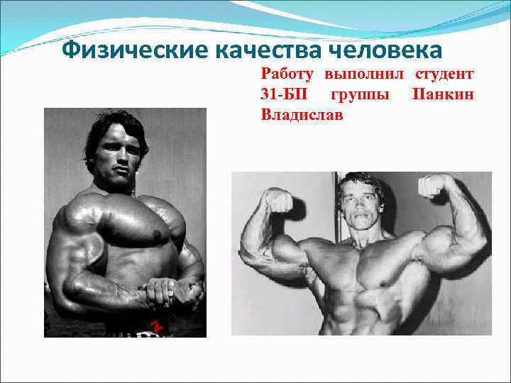 Физические качества человека Работу выполнил студент 31 -БП группы Панкин Владислав 